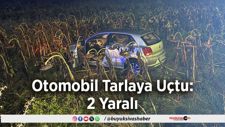 Otomobil Tarlaya