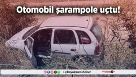 Otomobil şarampole