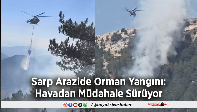 Sarp Arazide Orman Yangını: