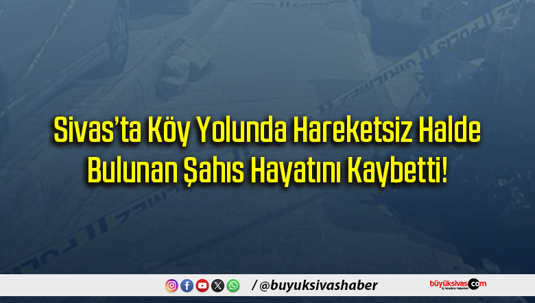 Sivas’ta Köy Yolunda