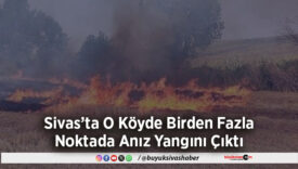 Sivas’ta O Köyde Birden Fazla