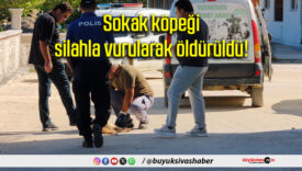 Sokak köpeği silahla