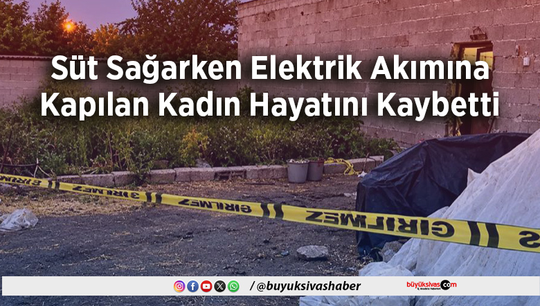 Süt Sağarken