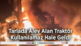 Tarlada Alev Alan