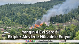 Yangın 4 Evi Sardı