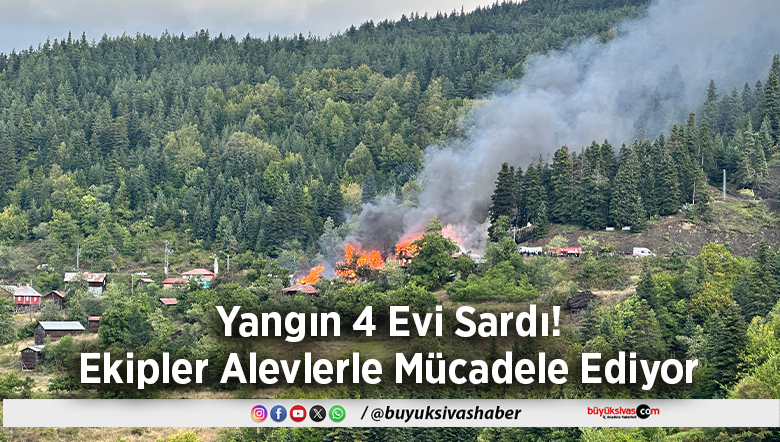 Yangın 4 Evi Sardı