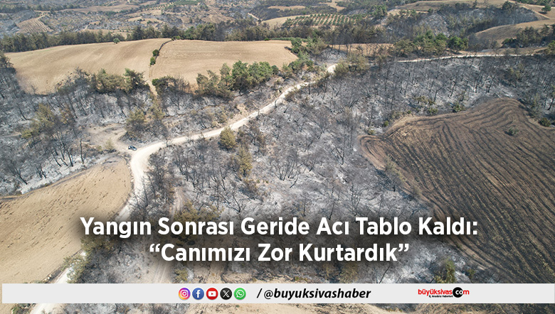 Yangın Sonrası Geride Acı Tablo