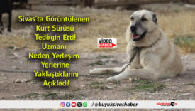 açıkladı