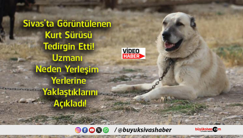 açıkladı