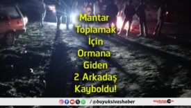 arkadaş