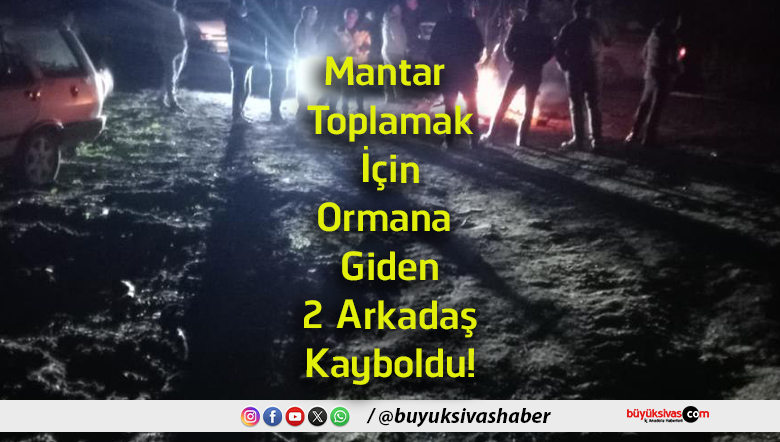 arkadaş