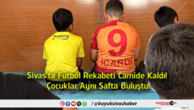 aynı