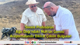 bulgular