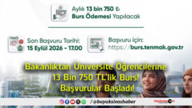 burs