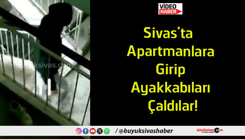 çaldılar