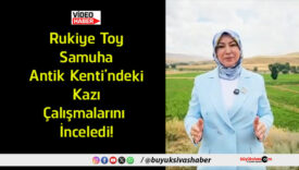 çalışmaları