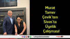 çalışması