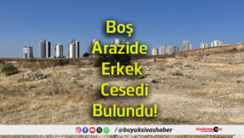 cesdi