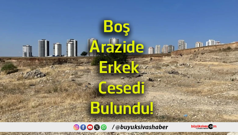 cesdi