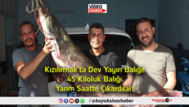 çıkardılar