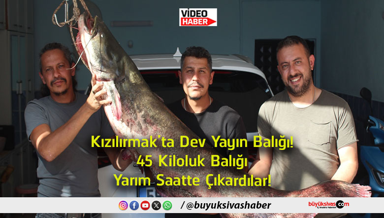 çıkardılar
