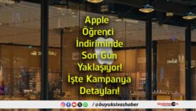 detay