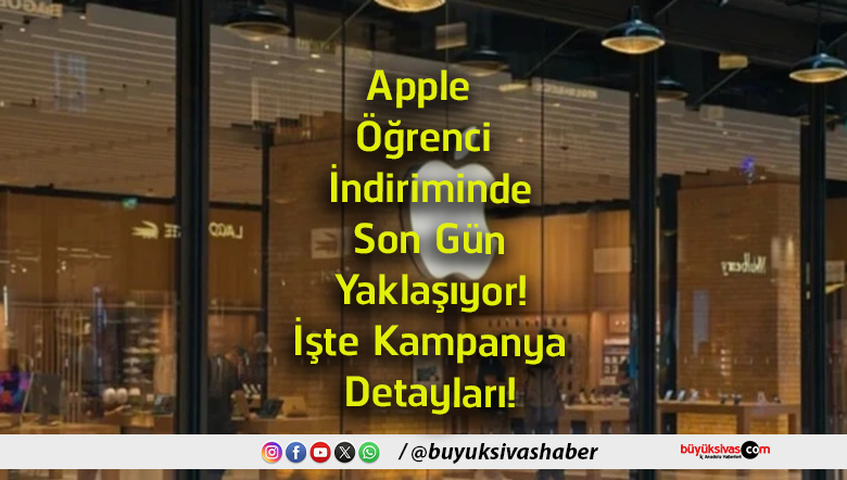 detay