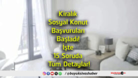 detay