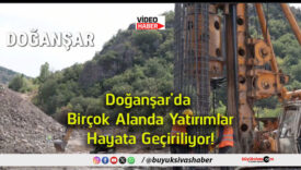 doğanşar