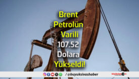 dolar