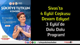 dolu