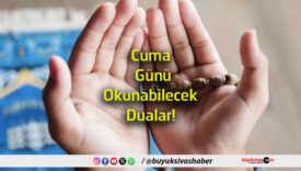dualar