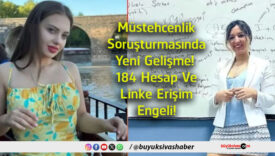 erişim