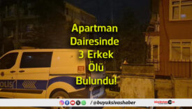 erkek