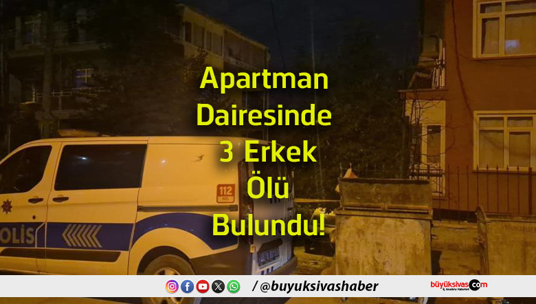 erkek