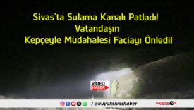faciayı