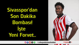 forvet