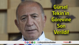 görevi