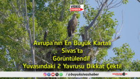görüntülendi