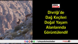 görüntülendi