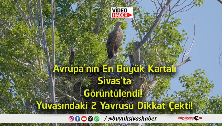 görüntülendi