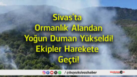 harekete