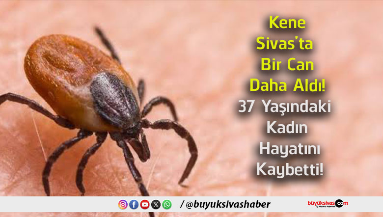 hayatını