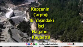 hayatını