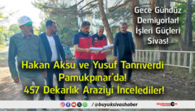 incelediler
