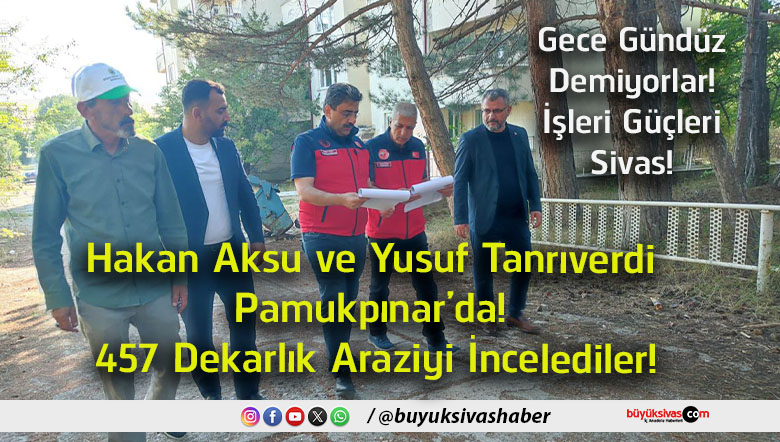 incelediler