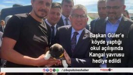 kangal yavrusu