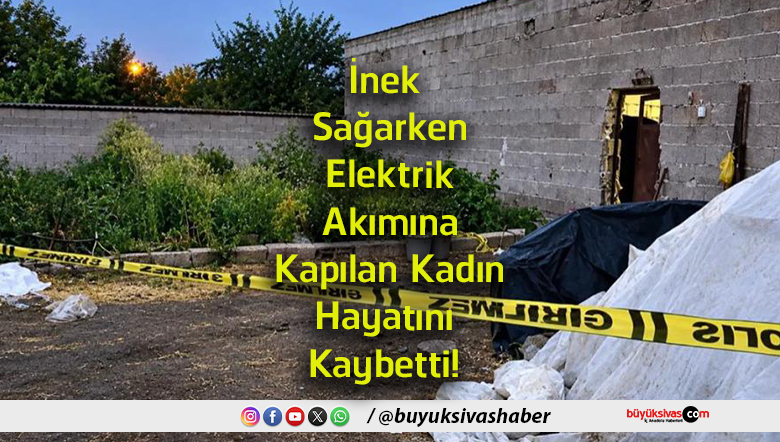 kaybet