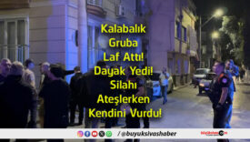 kendini