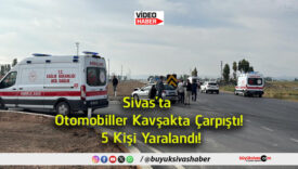 kişi